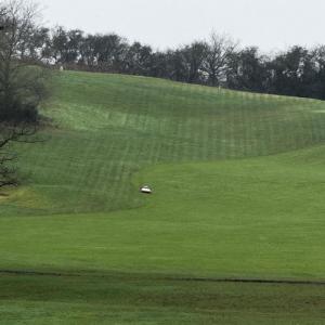 Kress 237 Petersfield (5)